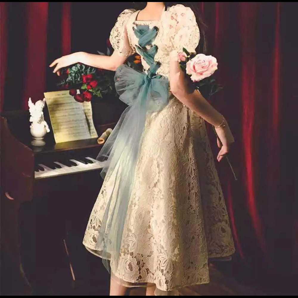 NEW Vintage Elegant Fairytale Lace Style Long Dress